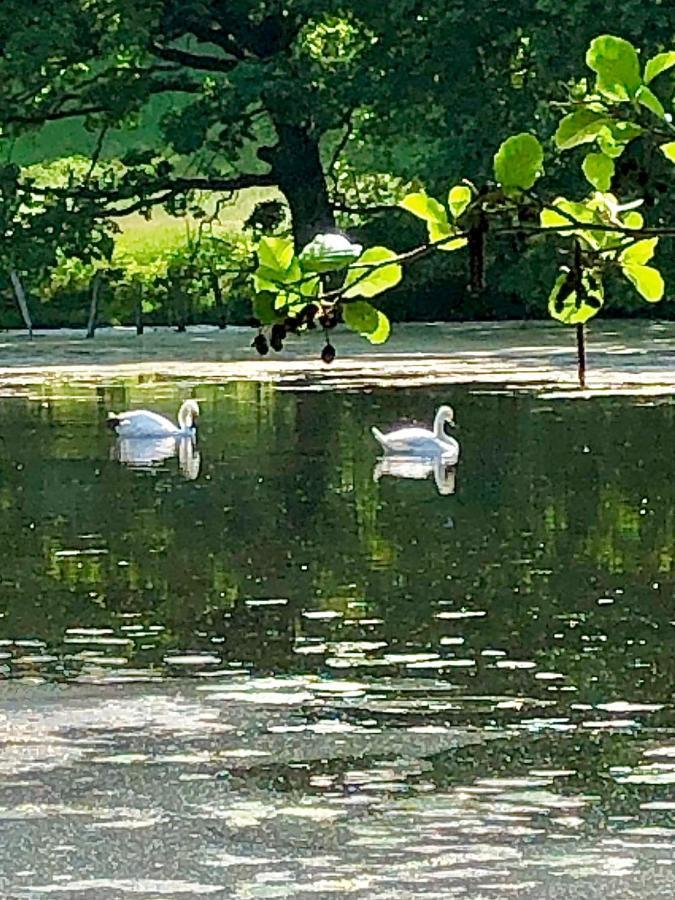 Ferienwohnungen Am Klusteich Goslar Dış mekan fotoğraf